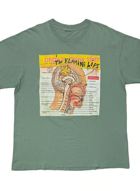 烈焰红唇The Flaming Lips乐队另类摇滚美式宽松纯棉绿色短袖T恤