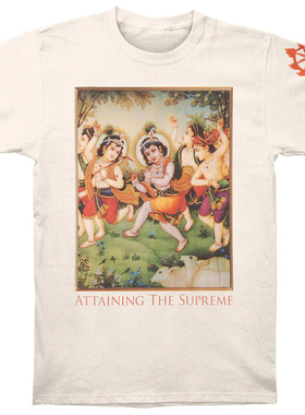 Shelter 欧美乐队attaining the suppeme达到高境界直喷短袖T恤