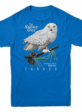 the snowy owl雪鸮暗冠蓝鸦Steller''s Jay 纯棉宽松直喷短袖T恤