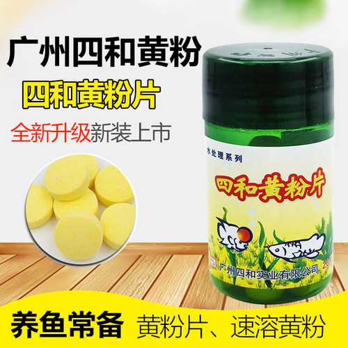 黄粉观赏鱼充血烂尾症广州四和