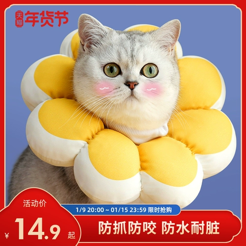 Кошачья воротник Элизабет Круг собачья анти -ненормальная горькая сет