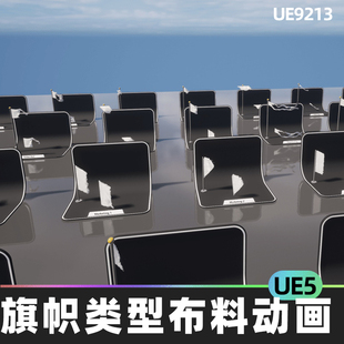 Animations FLAGS Cloth Types Types旗幟5.03虛幻5.3彩旗UE5