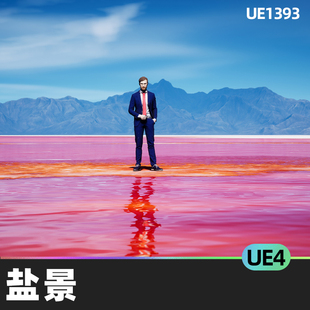 Landscape平坦地植物UE4虚幻5盐碱地形盐滩盐湖沙丘湖泊山脉 Salt