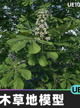 Chestnuts Pack (Aesculus hippocastanum)树木模型5.4虚幻UE5