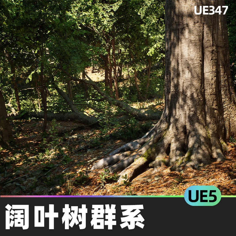 MW Broadleaf Trees Forest Biome阔叶树森林生物群系UE5.1岩石