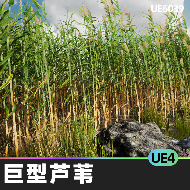 mediterranean Vegetation giant Reed巨型芦苇UE4环境道具自然
