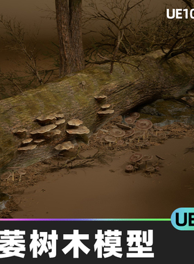 Foliage VOL.32 - Dead Forest (Nanite)枯萎树木5.5虚幻引擎UE5