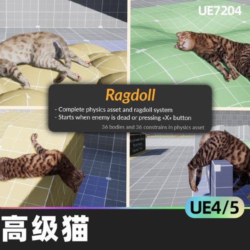 AnimX Advanced Cats高级猫4.27虚幻引擎UE5人物角色动物宠物小猫