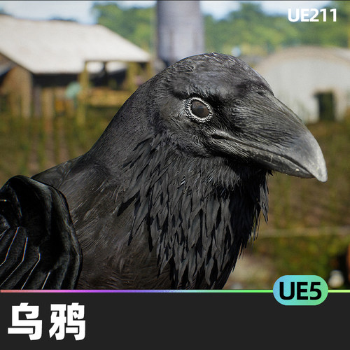 Animalia - Raven逼真写实乌鸦动画4K纹理贴图UE5鸟类模型3D素材