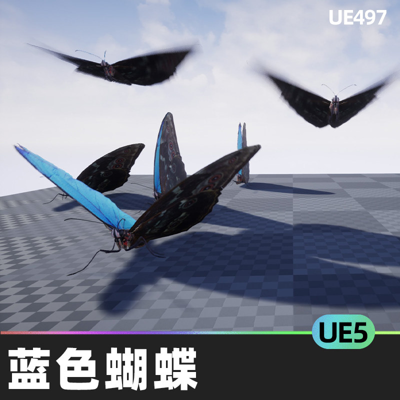 blue morpho butterfly蓝色蝴蝶闪蝶3d模型飞行动画ue5虚幻5.