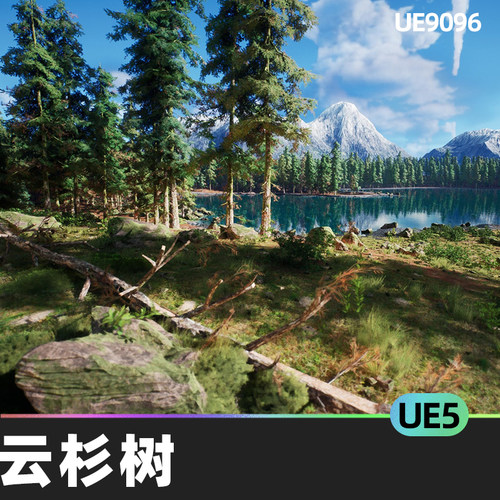 Norway Spruce Tree Pack Picea Abies云杉树UE5环境自然植物树木