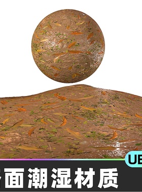 MUD VOL 3 MUD AND FOREST泥泞湿润地面道路材质5.4虚幻引擎UE5
