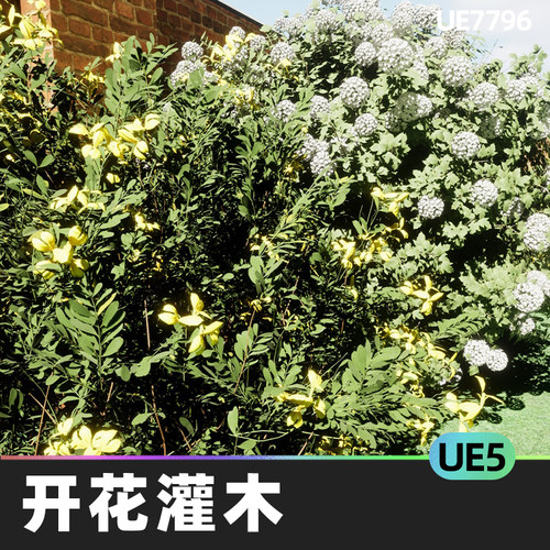 Flowering Shrub Collection开花灌木5.2虚幻UE5环境道具高聚植物