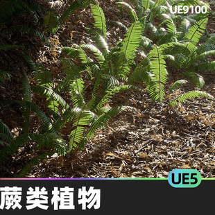 1蕨类植物5.3虚幻UE5环境树叶植被野草杂草枯草 Vol Nanite Fern