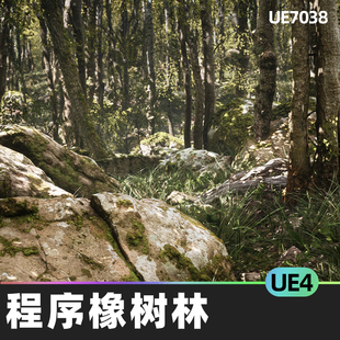 Procedural Forest****橡树林UE4虚幻蓝图系统树木虚幻引擎 Oak