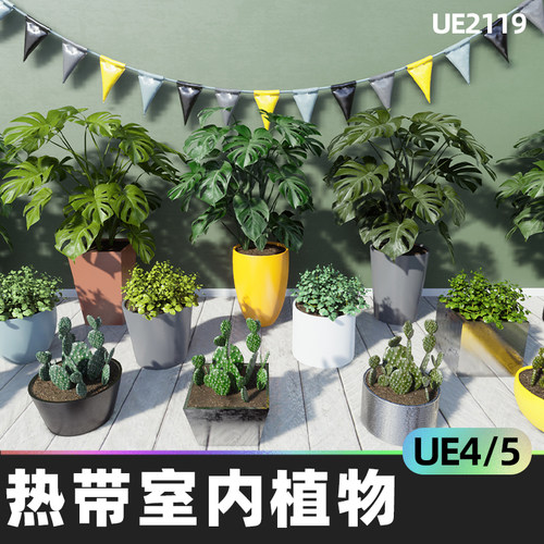 Tropical House Plants热带室内植物4.27虚幻UE5建筑可视化真实感