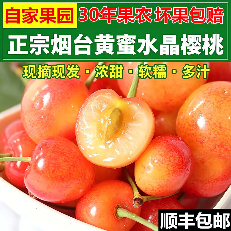 黄樱桃黄水晶黄蜜樱桃山东烟台大樱桃新鲜水果小樱桃黄车厘子包邮