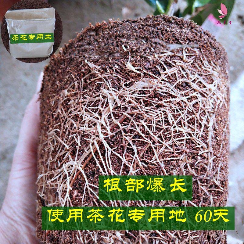 通用型营养土弱酸性茶花土椰槺泥炭土君子兰桂花栀子花促生根特价