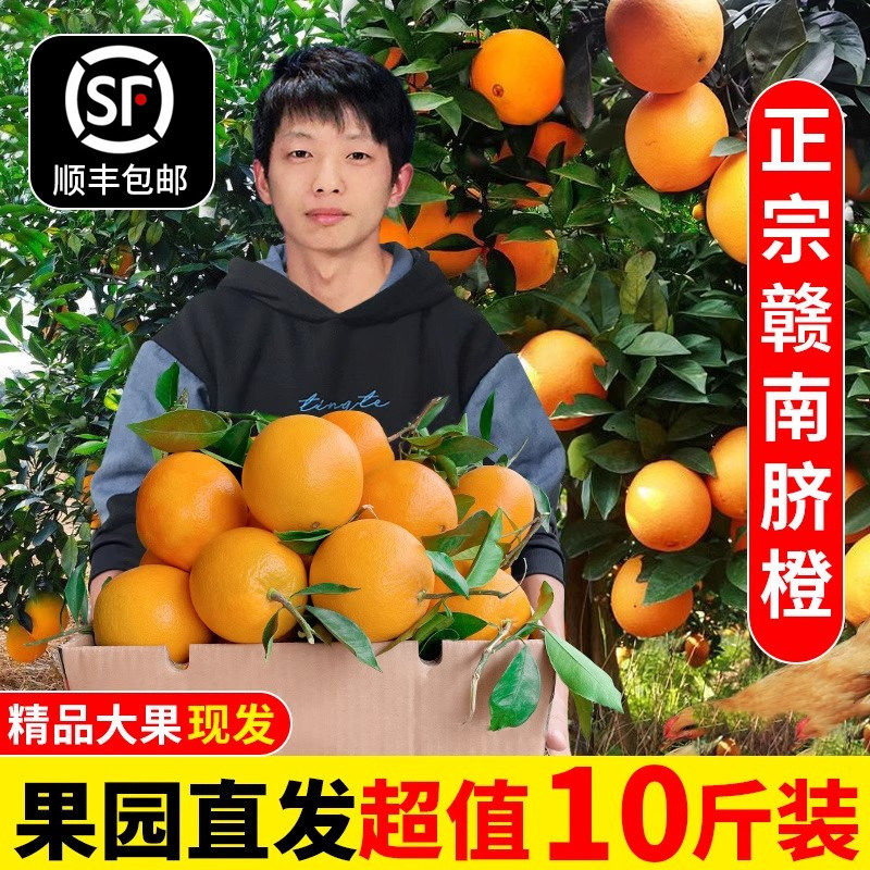 赣南脐橙10/5斤现摘现发新鲜应季水果江西橙子多汁农产品顺丰包邮