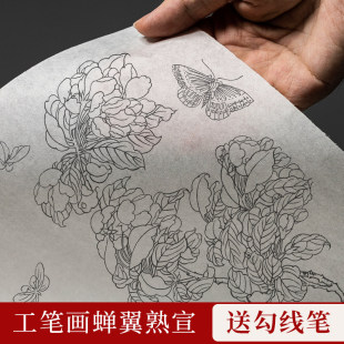 文绘齋蝉翼熟宣纸超薄扎花蝉翼透明工笔画临摹过稿珠光云母国画工