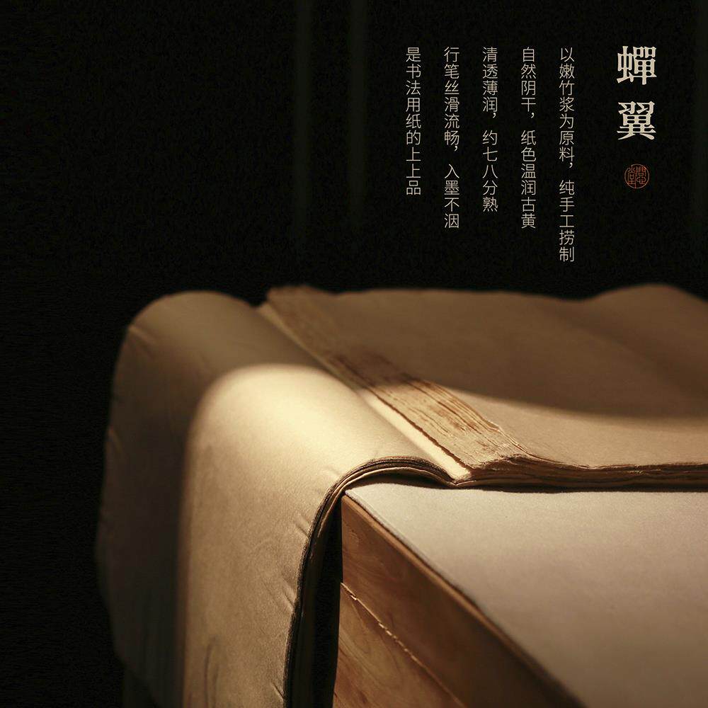 雅诗苑蝉翼毛边纸手工纯竹浆净料老纸书法国画 画专用宣纸麻纸楮
