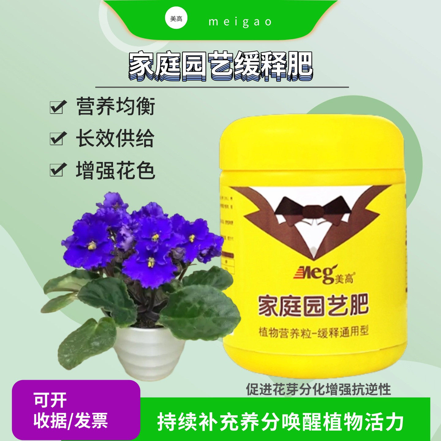 非洲堇紫罗兰非洲堇复合肥专用室内盆栽庭院花植物缓释颗粒长效肥