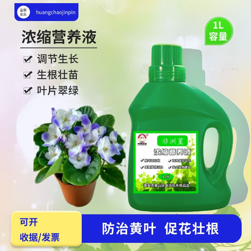 紫罗兰非洲堇盆栽高浓缩营养液专用室内植物氮磷钾通用水溶养花肥
