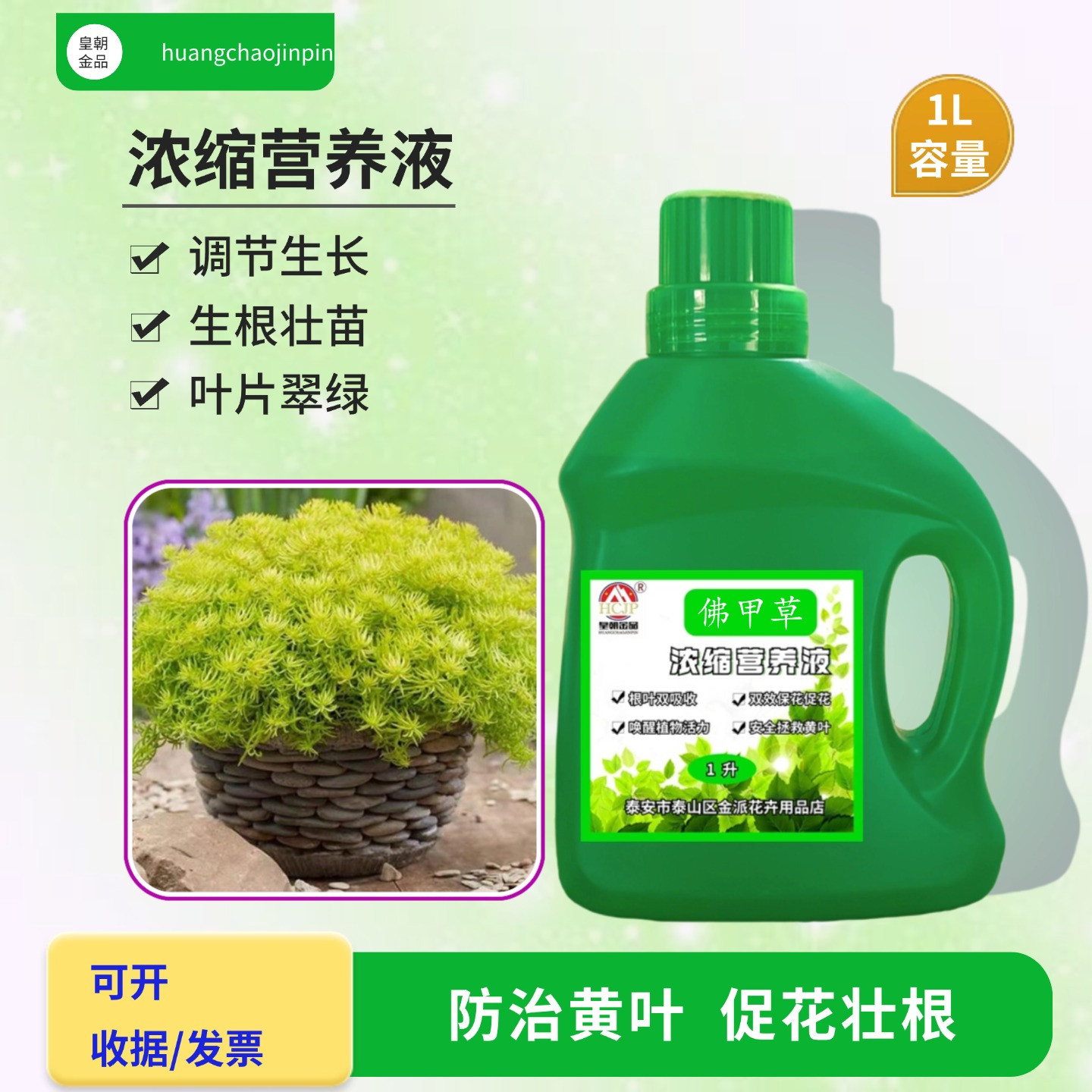 黄金佛甲草浓缩营养液专用室内阳台造型盆栽绿植通用氮磷钾水溶肥