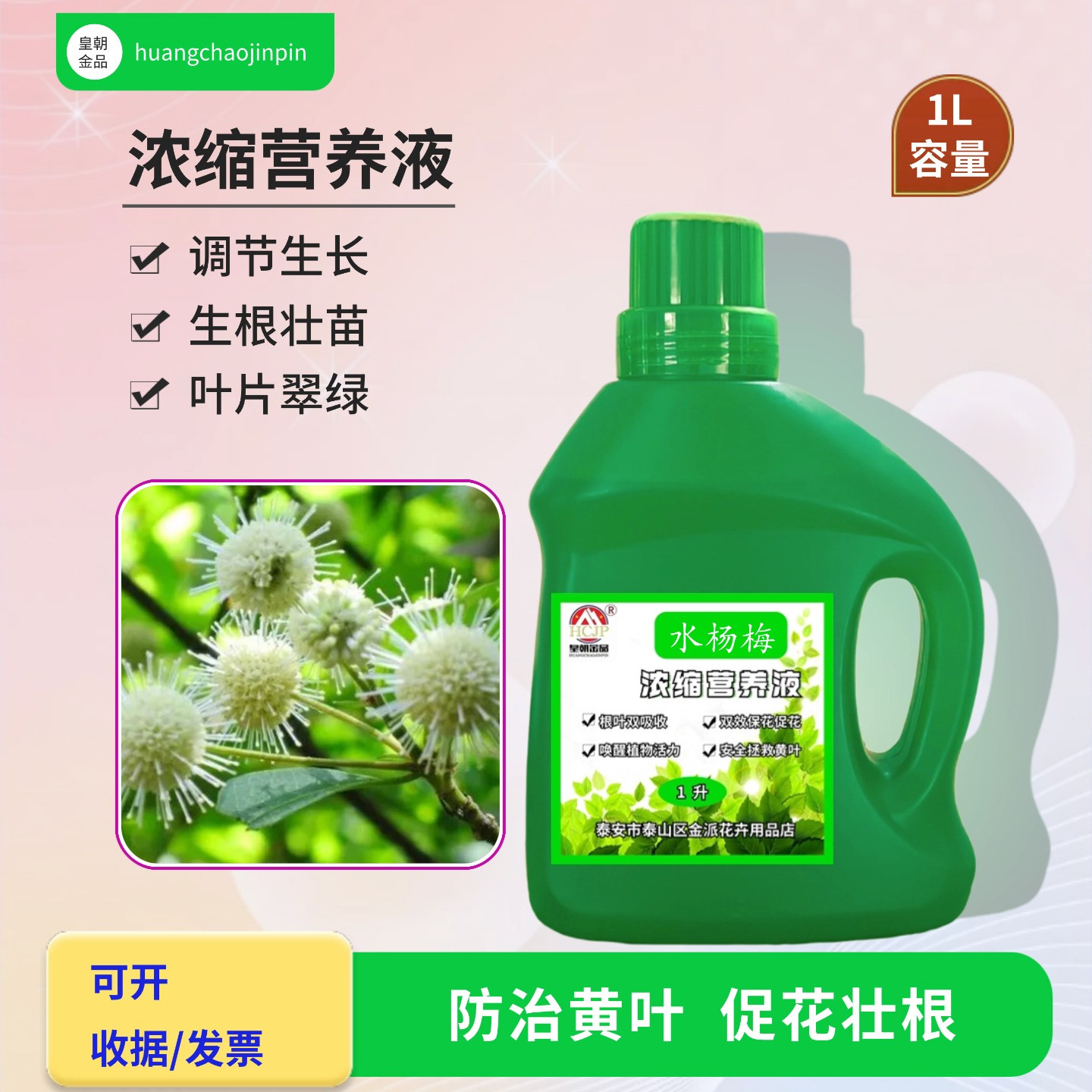 水杨梅室内客厅造景水溶养花肥料