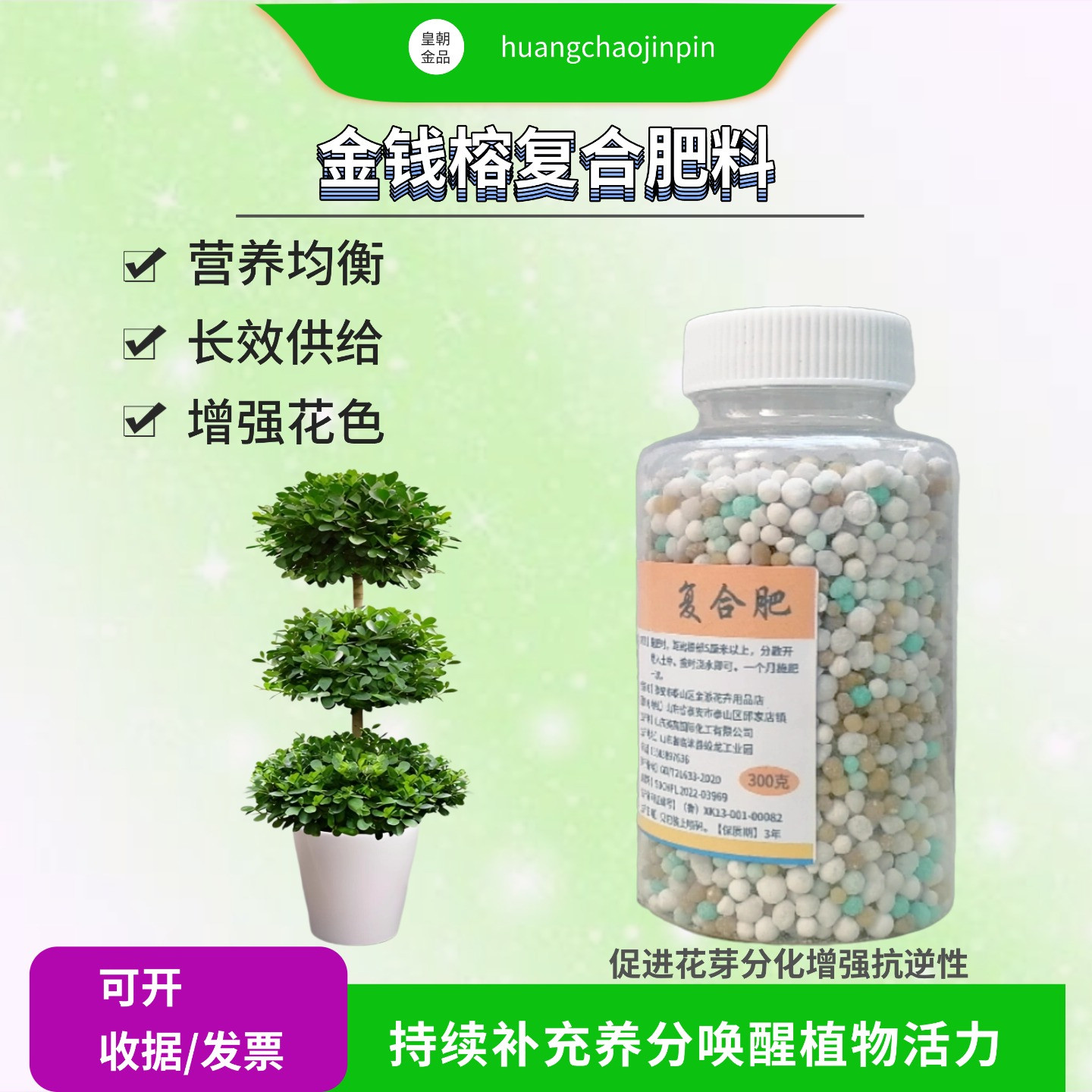 金钱榕人参榕盆栽复合肥缓释长效
