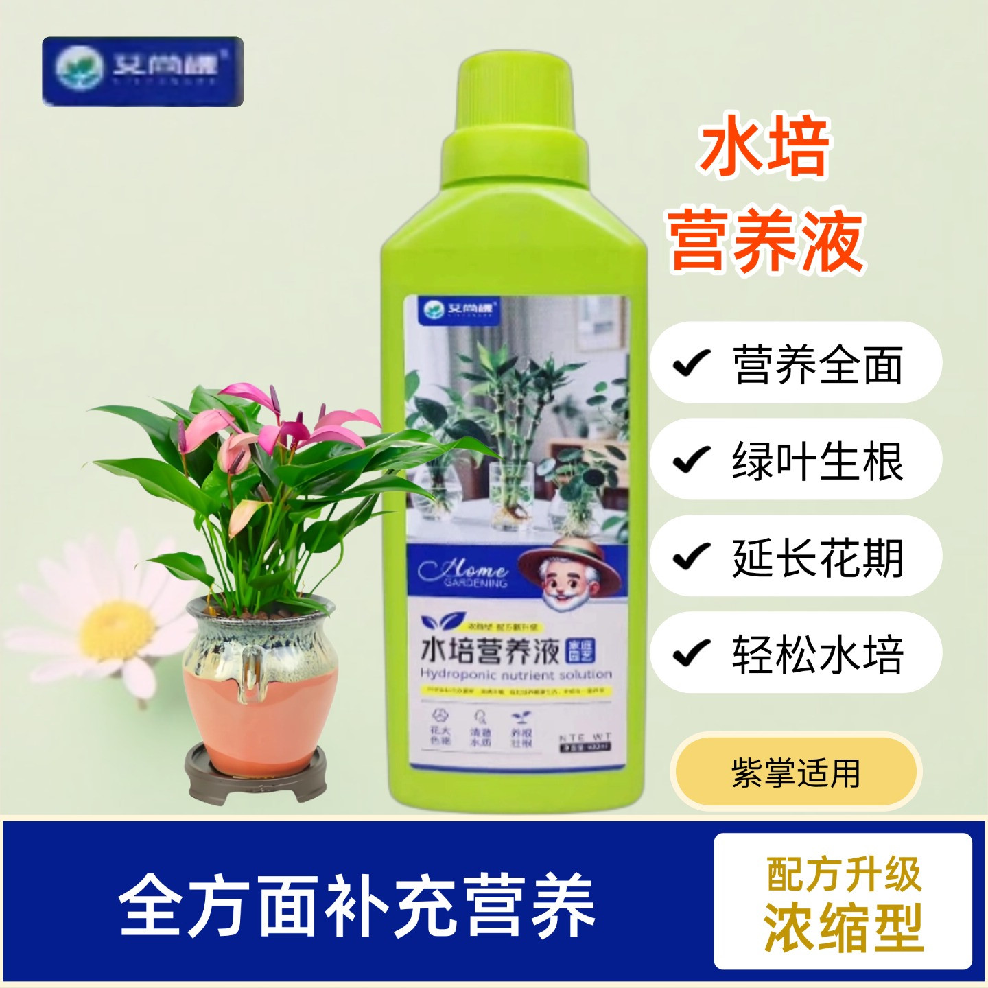 紫掌齐祖花水培营养液紫气吊兰室内桌面盆栽观叶植物浓缩水溶肥料