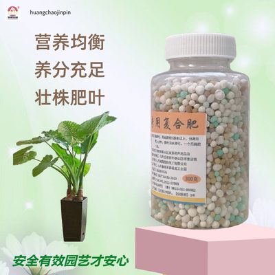 滴水观音盆栽绿植颗粒缓释花肥料