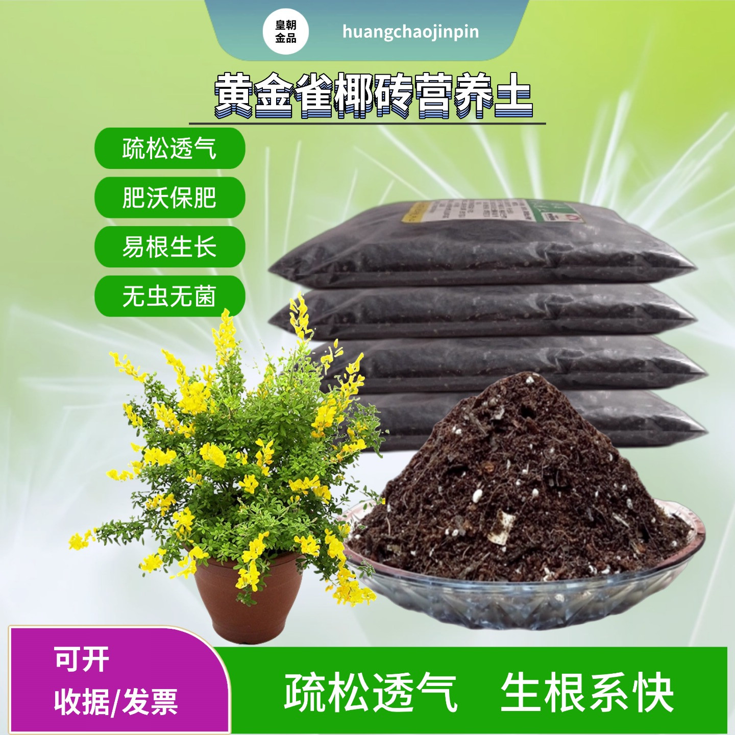 金雀花黄金雀花椰砖营养土专用室内花卉绿植物腐熟疏松移栽种植土