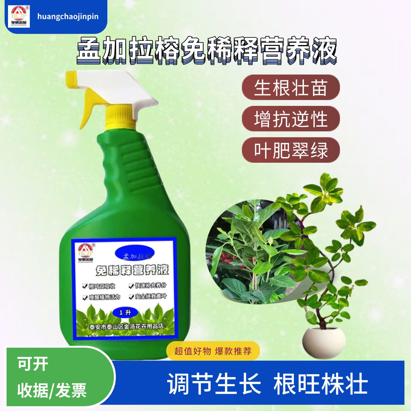 孟加拉榕高山榕树盆景免稀释营养液专用室内盆栽绿植叶面喷施花肥,鲜花速递/花卉仿真/绿植园艺,家庭园艺肥料,淘宝优惠券,粉丝福利购,淘宝优惠卷