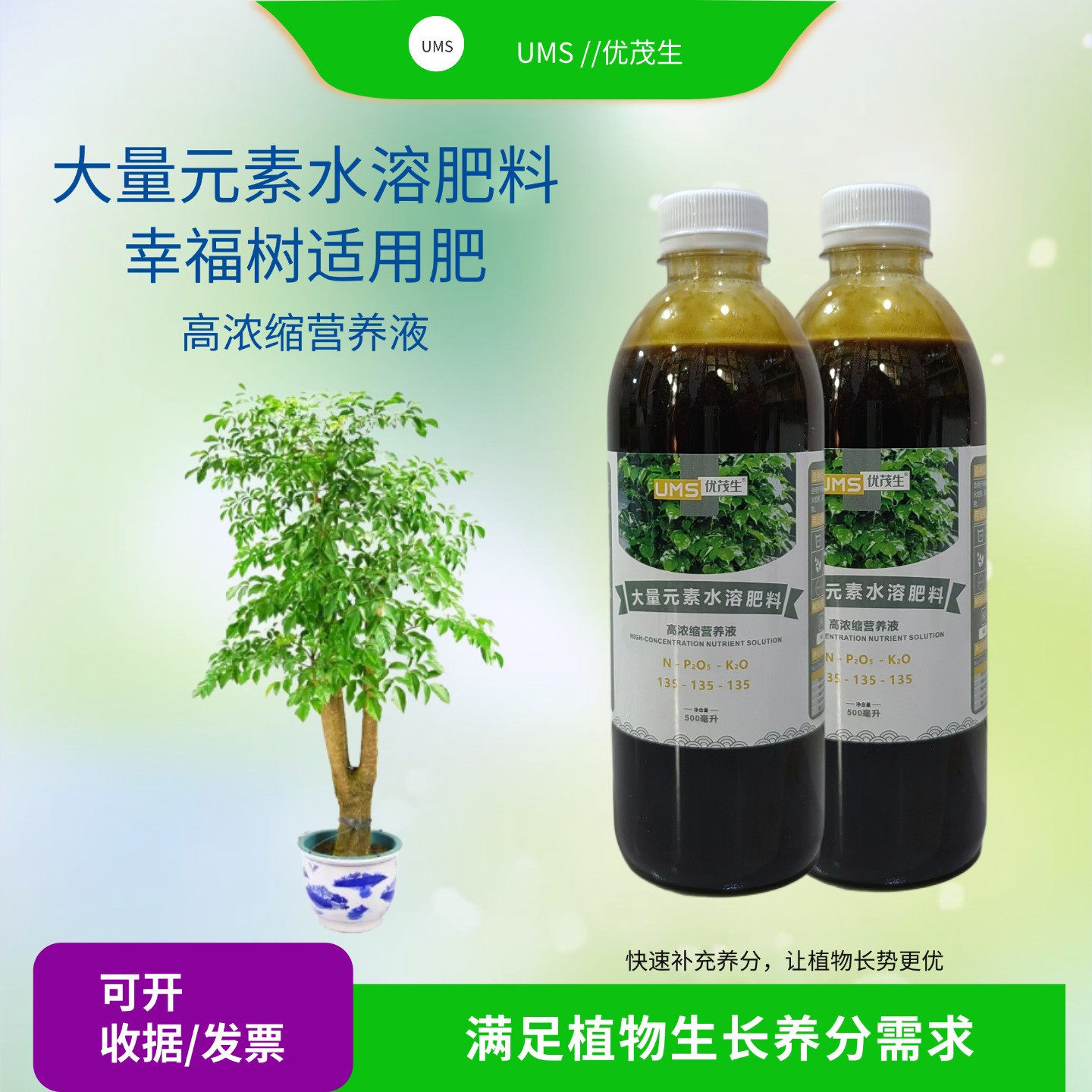幸福树菜豆树盆栽大量元素水溶营养液专用室内客厅花卉绿植喷施肥
