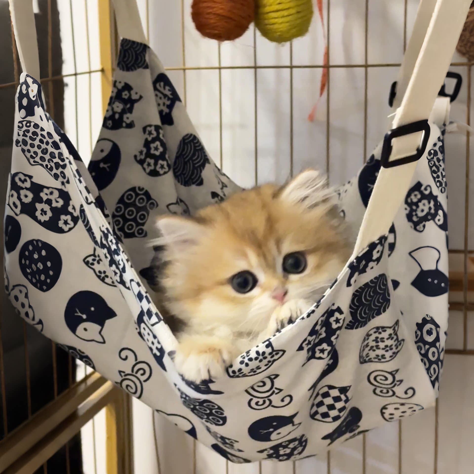 猫咪吊床悬挂式猫笼专用猫窝秋千夏季透气小猫挂窝宠物吊篮挂床窝