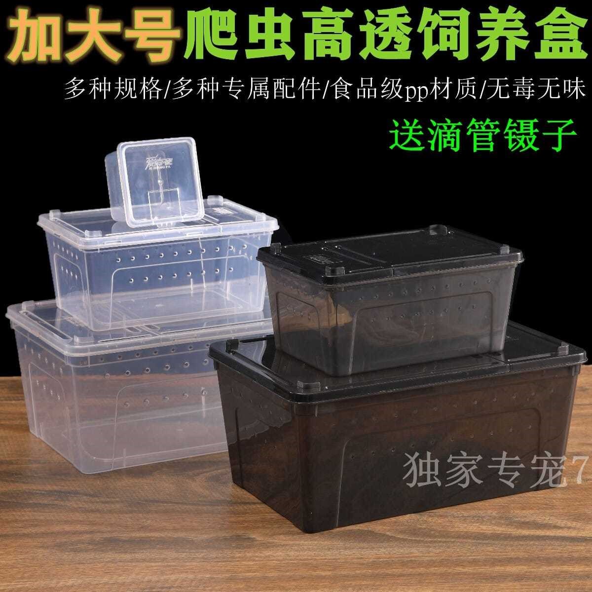 爬宠饲养盒两栖蜗牛蜘蛛守宫角蛙爬宠缸/箱