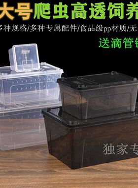 爬宠饲养盒两栖蜗牛蜘蛛守宫角蛙大号乌龟饲养箱带躲避造景爬虫盒