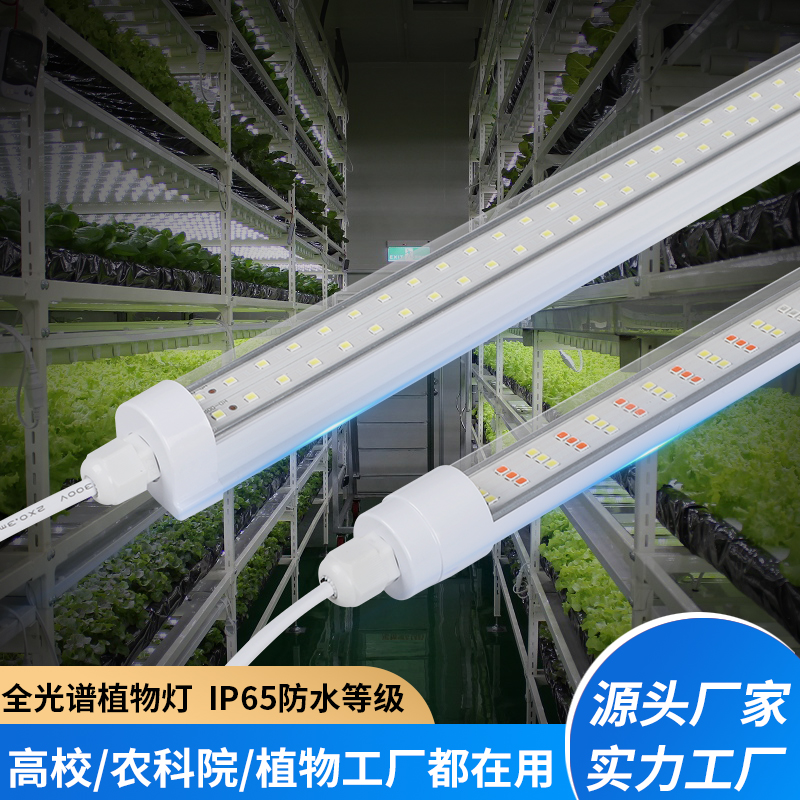 植物生长灯多肉补光蔬菜大棚水培