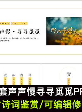 中国风古诗词鉴赏 李清照 声声慢寻寻觅觅PPT模板课件成品可编辑