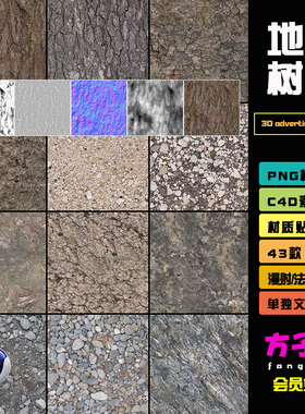 C4D贴图素材自然地面树干树皮石头岩石道路纹理通道渲染图片 T066