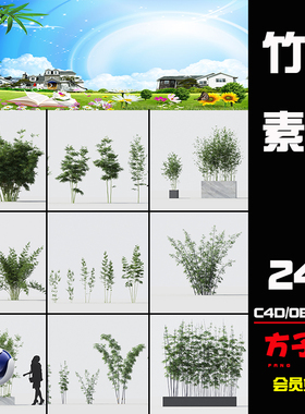 方子C4D模型景观植物竹林景观竹子绿竹青竹毛竹FBX 三维素材 Z010