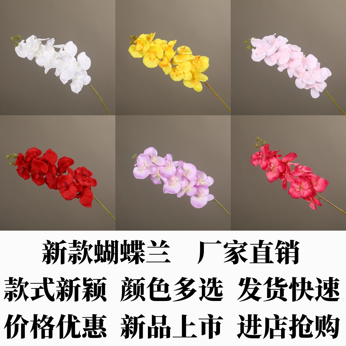 婚庆仿真绢花蝴蝶兰婚礼背景墙花艺装饰迎宾区路引花手捧花仿真花