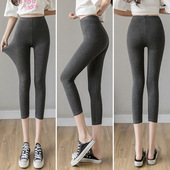 女 纯色外穿打底裤 春夏薄款 莫代尔七分九分高腰塑身美体加肥加大码