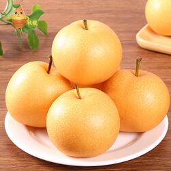 河北威县秋月梨2025现摘现发新鲜多汁冰糖味时令水果整箱10斤