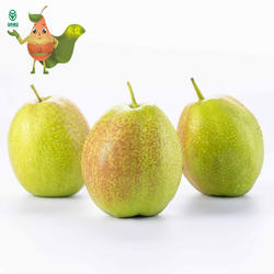 河北威县吉梨秋馥新香梨细嫩多汁皮薄无渣新鲜水果10斤装