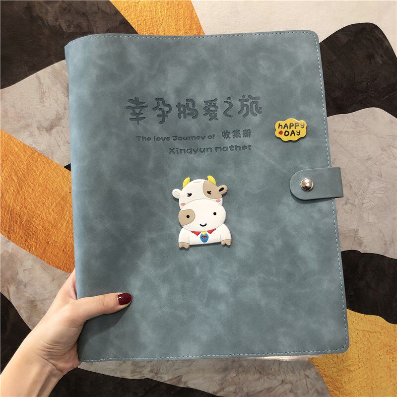 소  임신 테스트 수납장 귀여운 B-초음파 산전 검진 보고서 시트 임산부 검진 시트 A4A5 ??임신 파일장