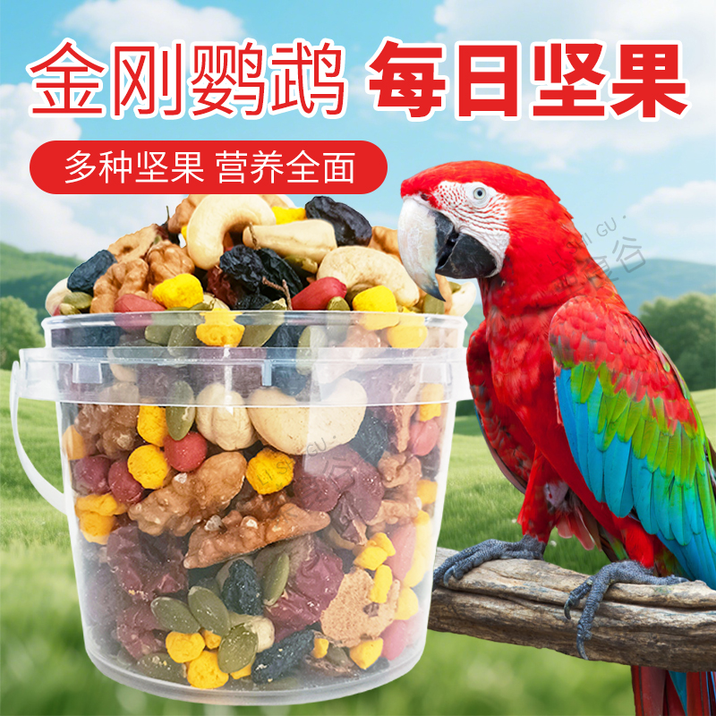 金刚鹦鹉每日坚果腰果核桃仁黑加仑南瓜籽中大型鸟宠美毛亮羽零食