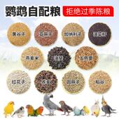 鹦鹉自配粮谷物粮混合粮麻子加纳利子油葵红花子燕麦米稻谷粮鸟粮