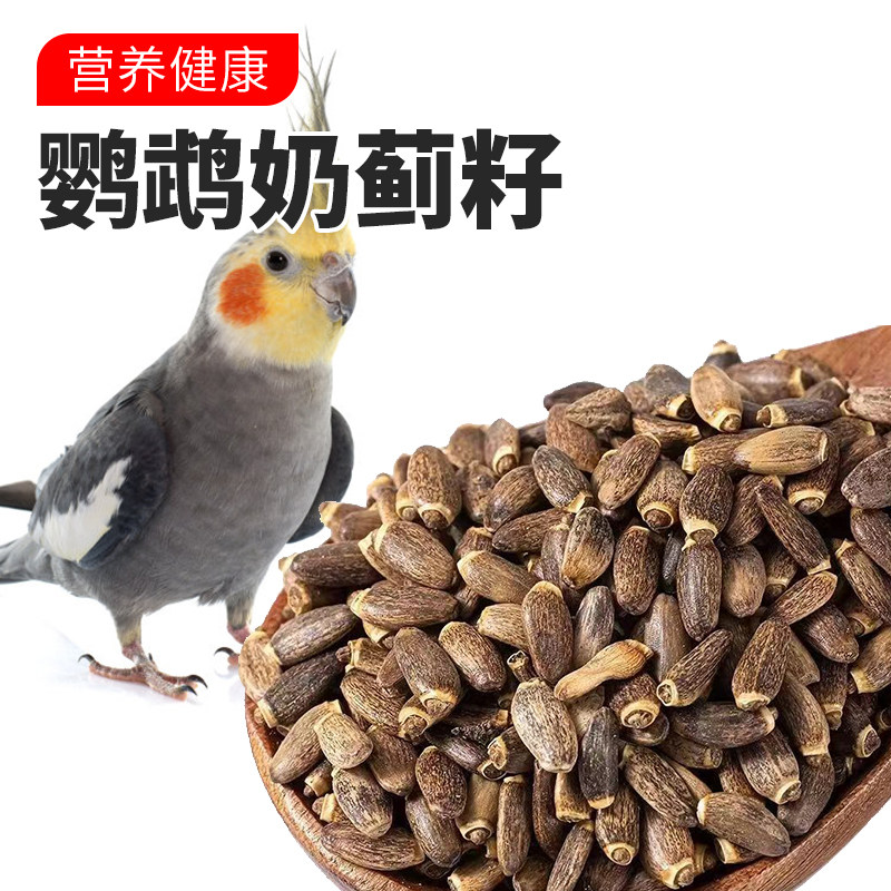 鹦鹉零食奶蓟籽增强体质带壳饲料小吃营养健康水飞蓟种子粮鸟粮食
